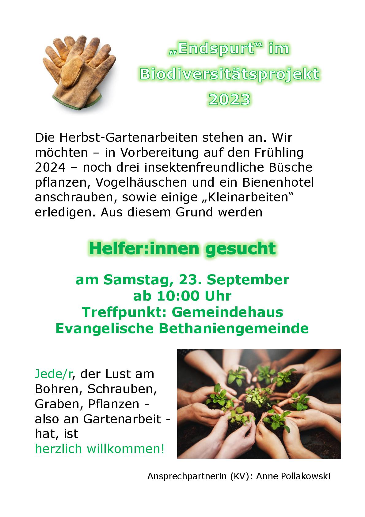 64facf432f7c3Helferinnen gesucht.2-001.jpg